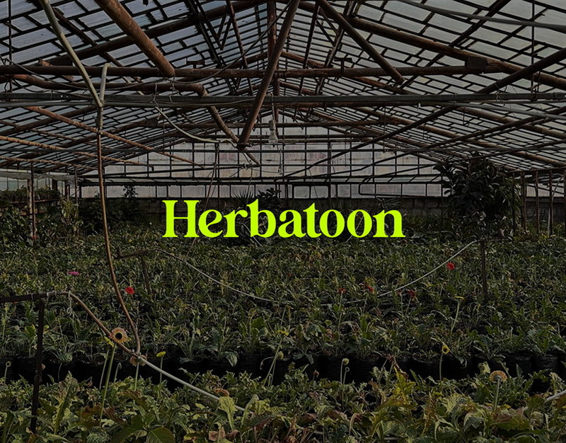 В сторону Евразии